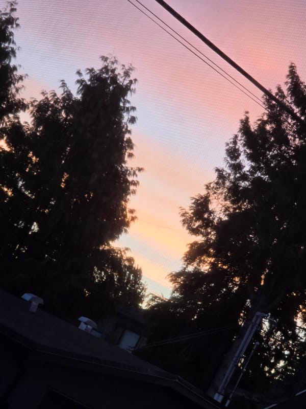 Sky and silhouettes, three ways, Vancouver evening light