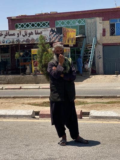 Morning street commerce documented in Kandahar, Afghanistan
