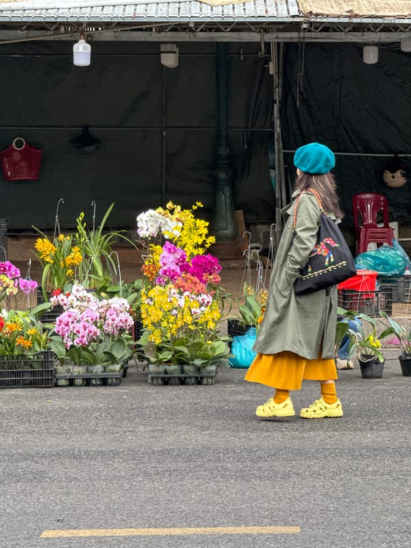 Daily life unfolds in Da Lat's flower markets and lakeside