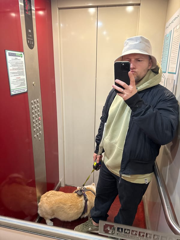 Person with corgi dog rides elevator in Krasnoyarsk