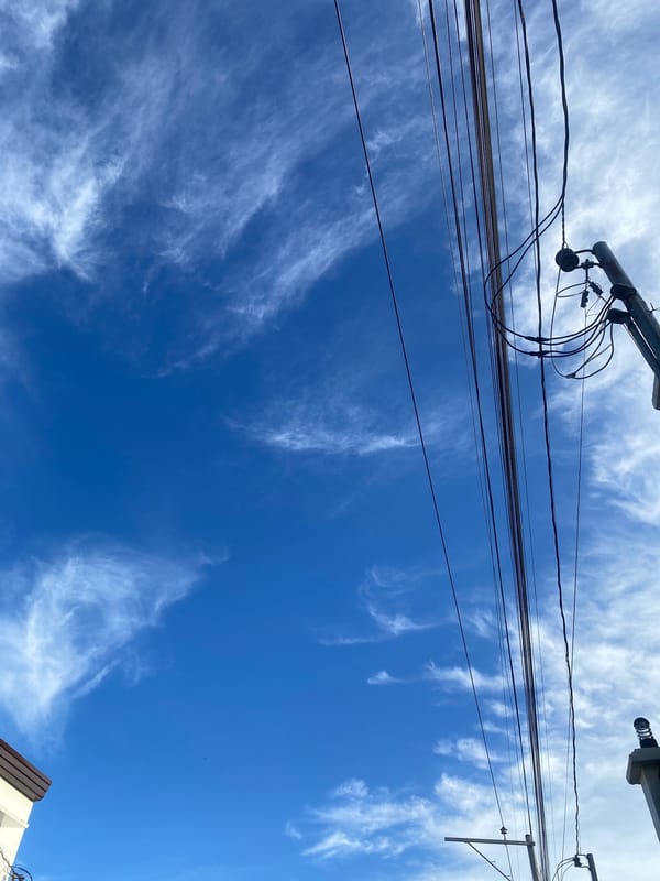 Overhead wires trace the Davao City sky, June morning