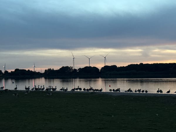Dusk settles over Neumünster's lakeside landscape