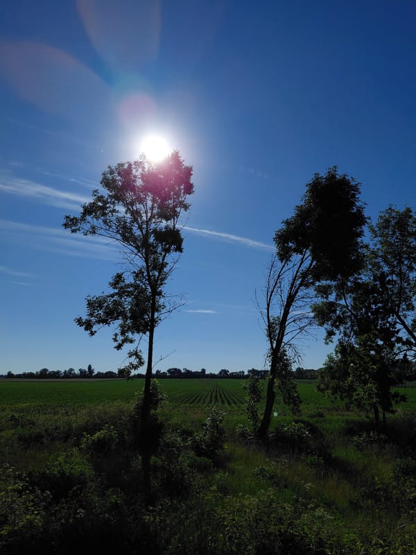 Rural Ukraine countryside documented in clear morning sunlight