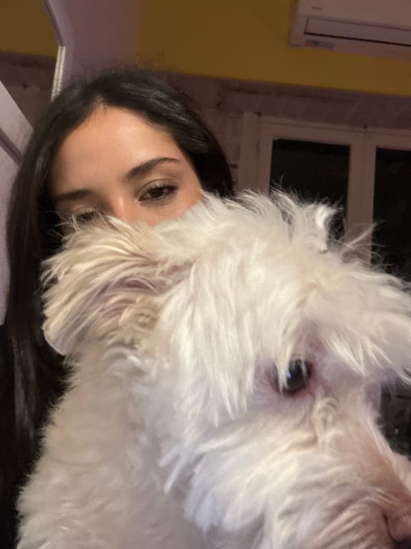 Woman with white dog and rabbit spotted in Buenos Aires home