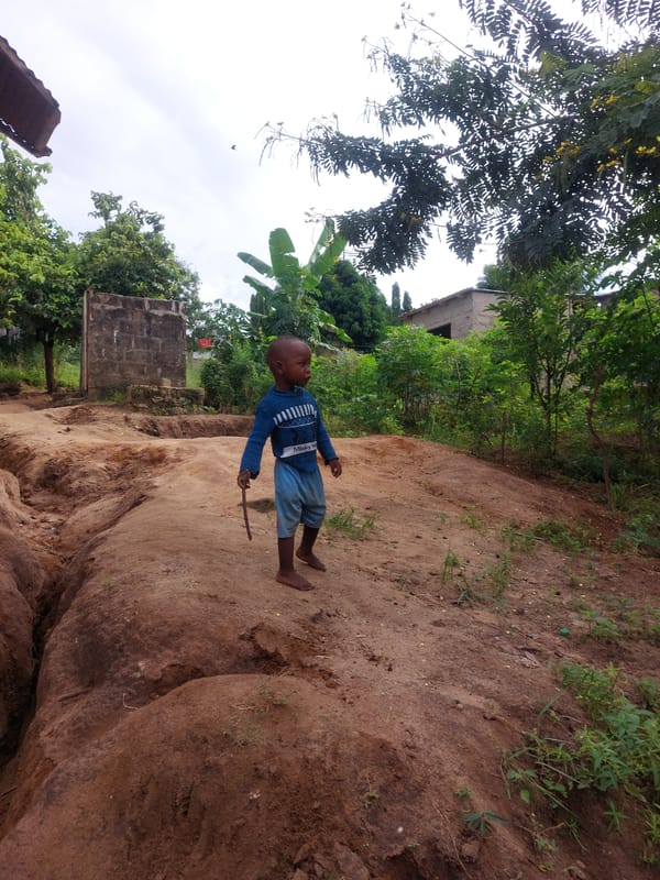 Morning street life documented in Dar es-Salaam neighborhoods