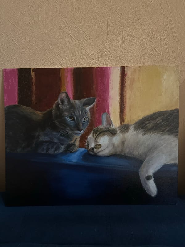 Cats observed in Krasnoyarsk home setting