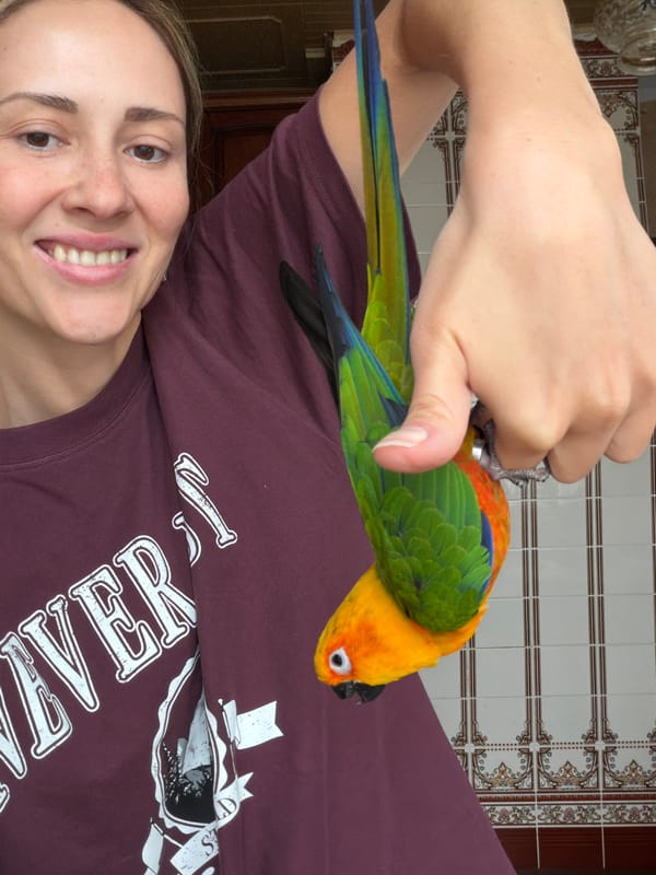 Khimki resident documents morning with pet parrot and cooking