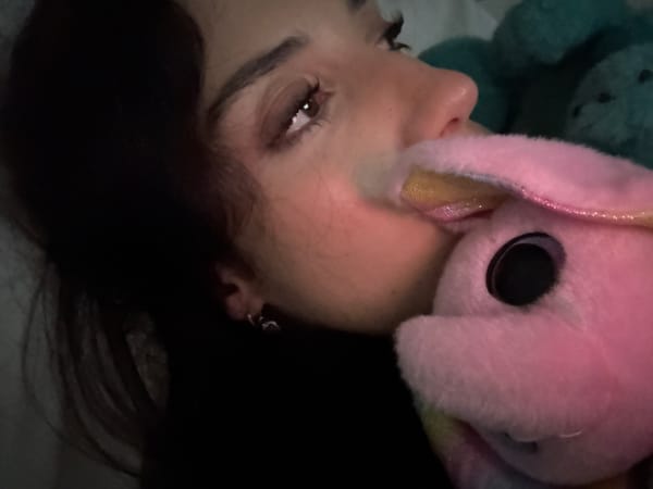 Buenos Aires resident builds LEGO rabbit set during morning