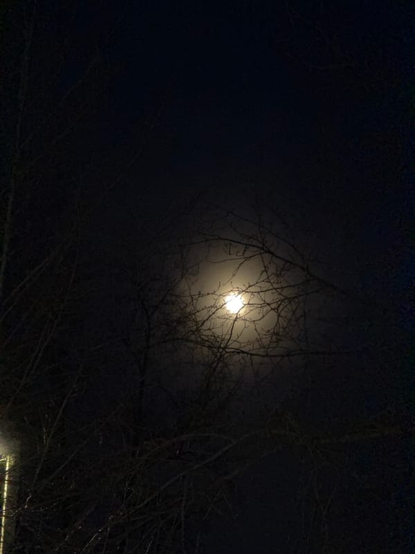 Bright moon captured through bare branches in Berezniki night sky