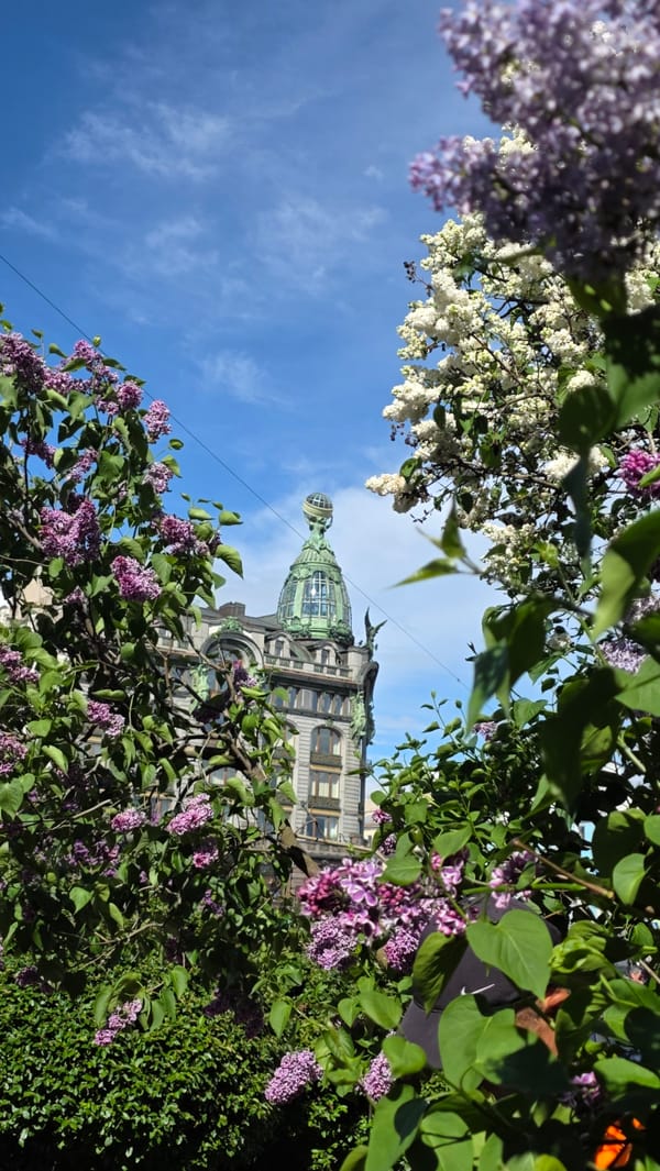 Spring lilacs bloom around Saint Petersburg's historic landmarks