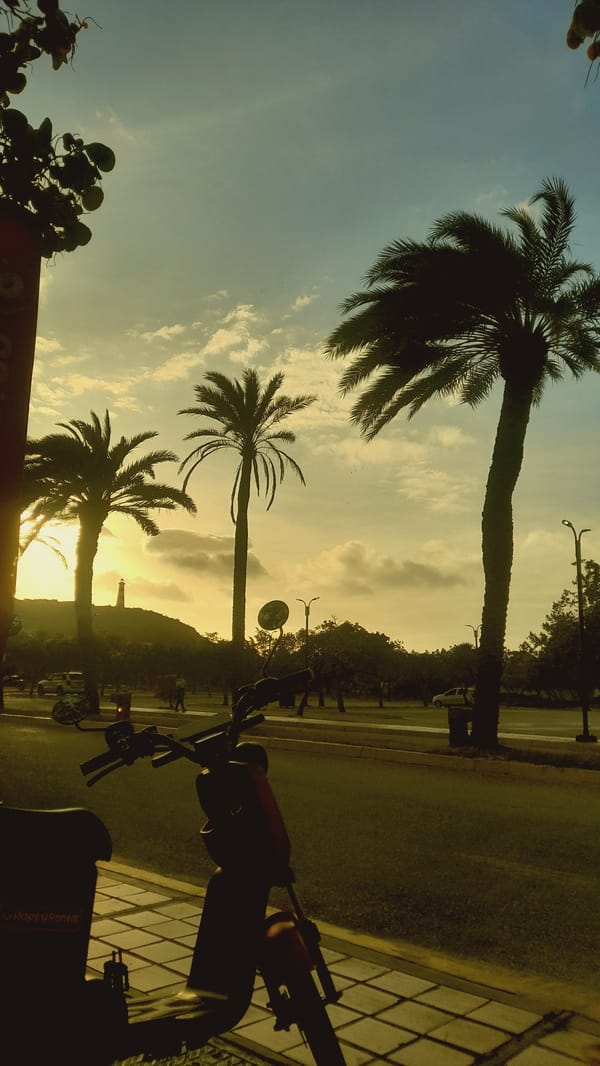 Rental scooters line sunset streets in Pedro González, Venezuela