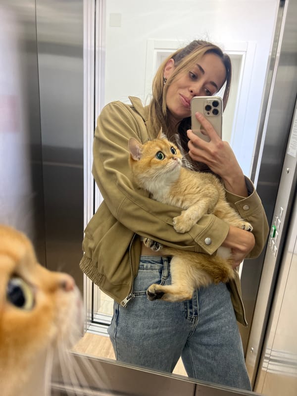 Woman travels with cats in Bar, Montenegro