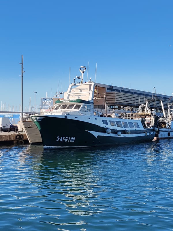 Harbor activity and cycling captured in Dénia, Spain