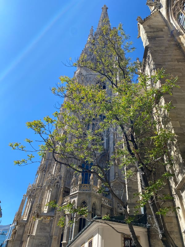 Tourist captures Vienna cathedral views and horse carriage scenes