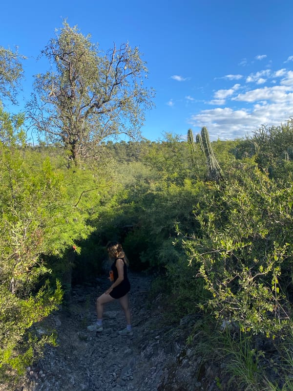 Evening scenes captured across Catamarca parks and waterfront areas
