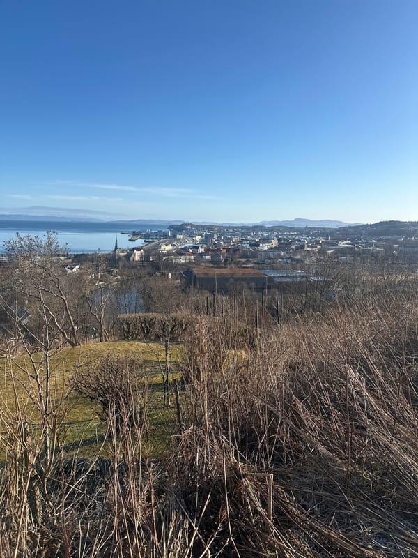 Elevated view captures Trondheim cityscape along Norwegian fjord