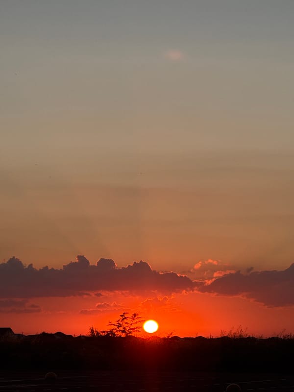 Sunset through clouds and silhouettes, caught from multiple angles