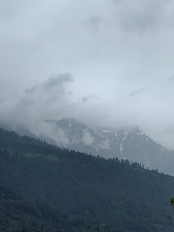 Misty morning in Vashisht — street food, fresh fruit, mountain fog
