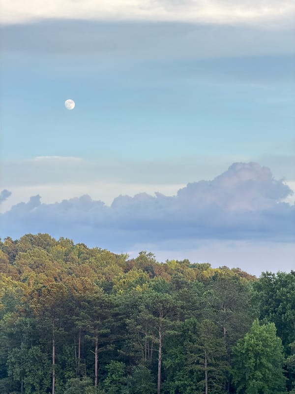 Moonlit forest and lakeside dusk in Sugar Hill, Georgia