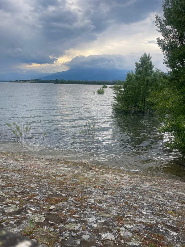 Lakeside scene documented in Koprinka, Bulgaria