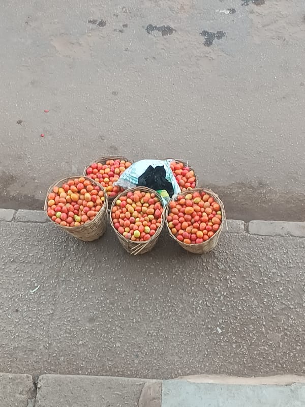 Tomato baskets spotted roadside in Bukuru, Nigeria