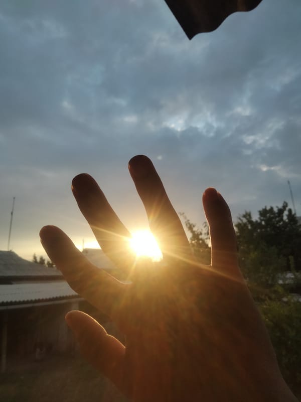 Sunrise moments and ripe apricots in a Kyrgyz village