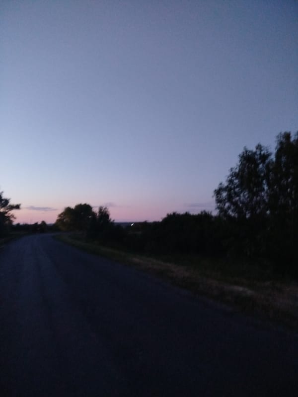 Rural Ukraine Evening: Roads, Wildlife, Gardens Documented in Ustyvytsia