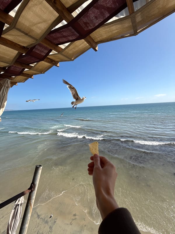 Clifftop dining, live music, and ocean views in Puerto Nuevo