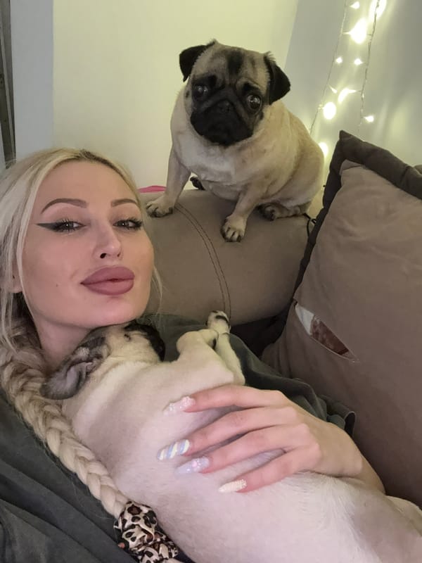 Evening at home with pugs and selfies
