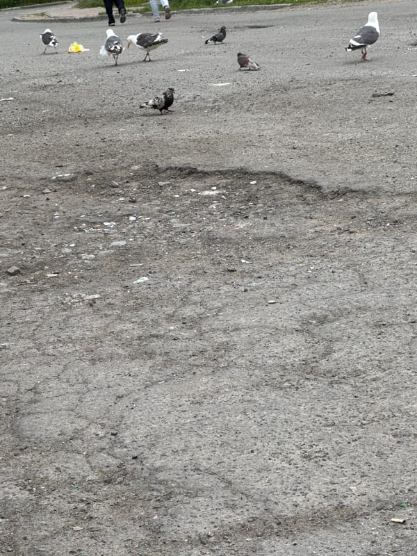 Stroller walk past cracked pavement, potholes, and dandelion-edged curbs