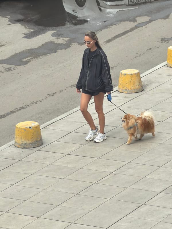 Morning scenes with dogs in Krasnoyarsk, Russia