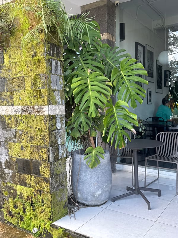 Morning breakfast documentation at Kuta Selatan cafe with tropical decor