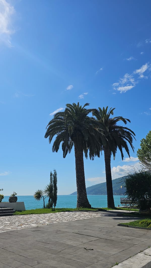 Coastal scenes and dog captured in Gagra, Abkhazia