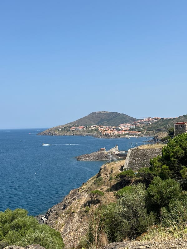 Sun-soaked afternoon exploring Collioure's coast and hillside paths
