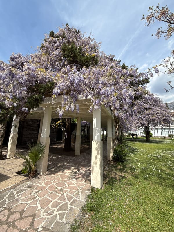 Morning beach scenes documented at Boreti, Montenegro coastal area