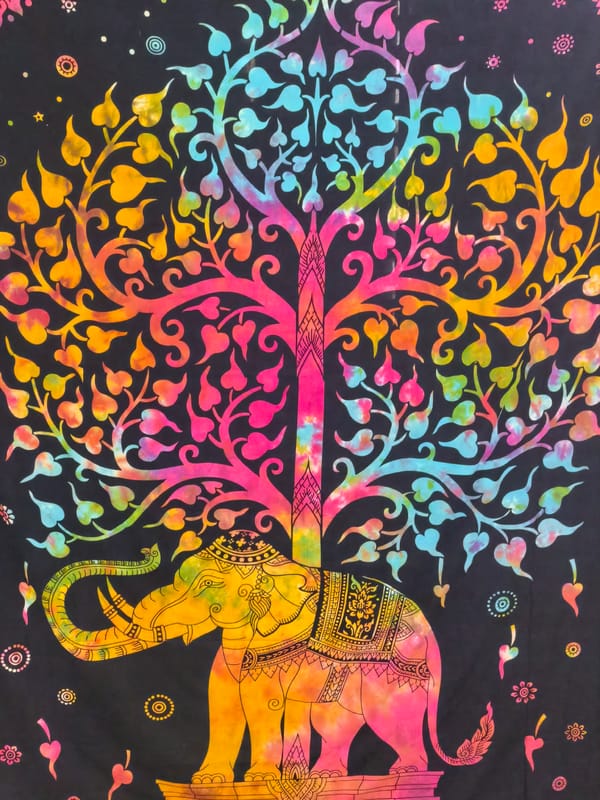 Elephant tapestry and subway car interior documented by witness