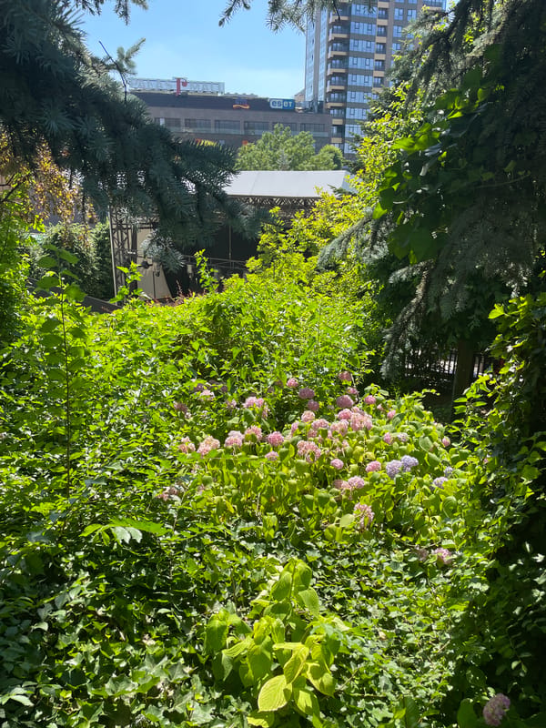 Summer morning around Iași's historic gardens and Palace of Culture