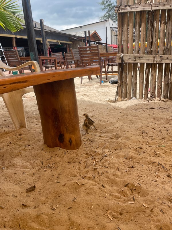 Morning beach life documented in Choeng Thale, Thailand