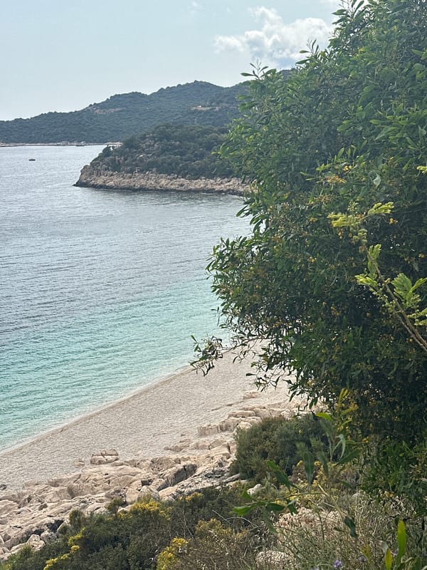 Coastal visit documented in Kaş, Turkey with scenic and botanical photography