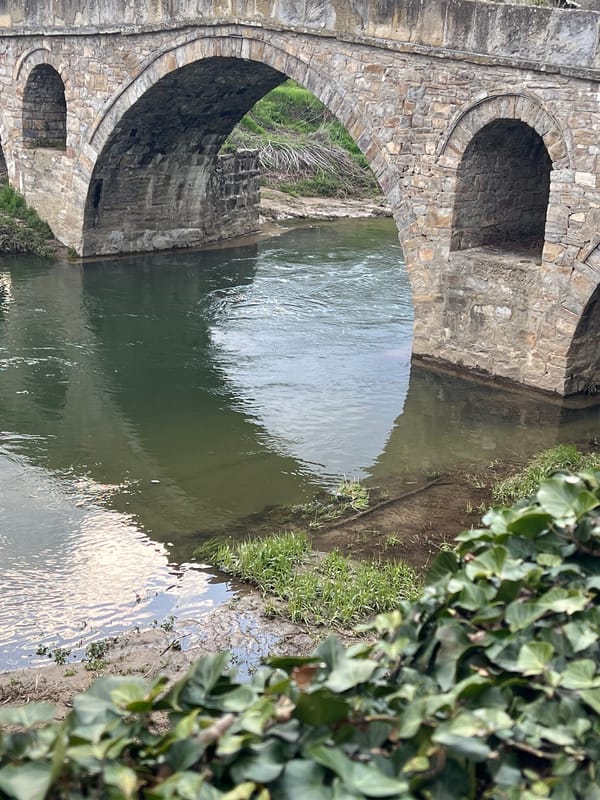 Historic stone bridge and riverside documented in Dryanovo, Bulgaria