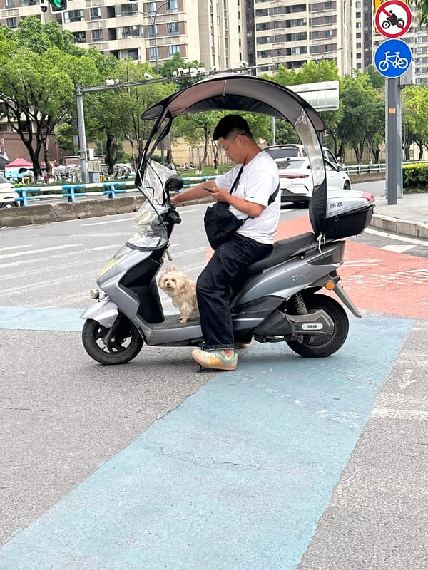 Man with dog pauses on electric scooter in Chongqing