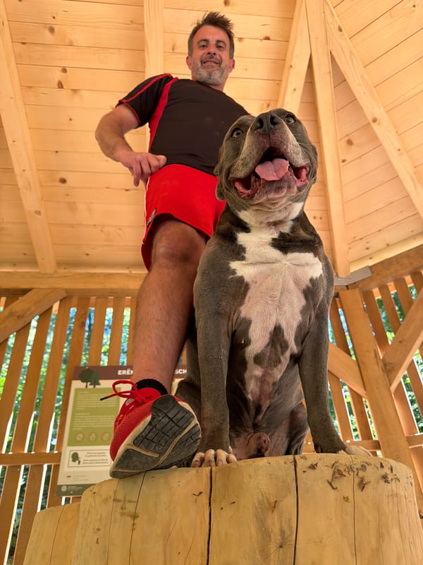 Person and grey dog posing in a wooden outdoor structure