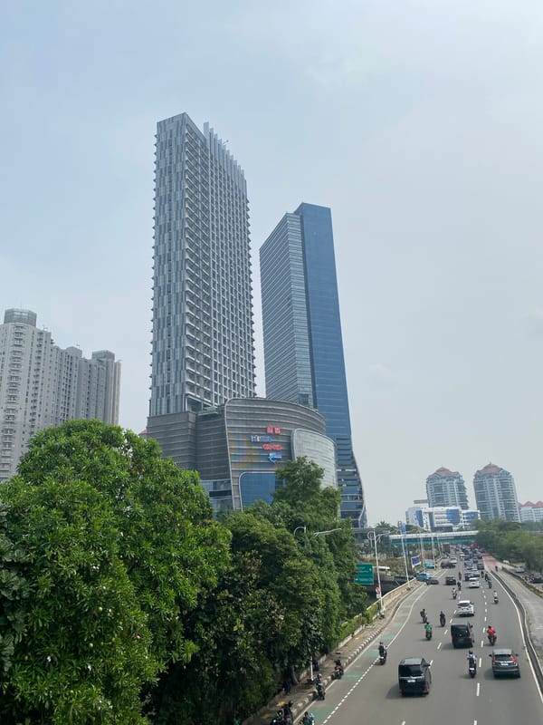 West Jakarta's Central Park district: streets, canals, and urban sprawl