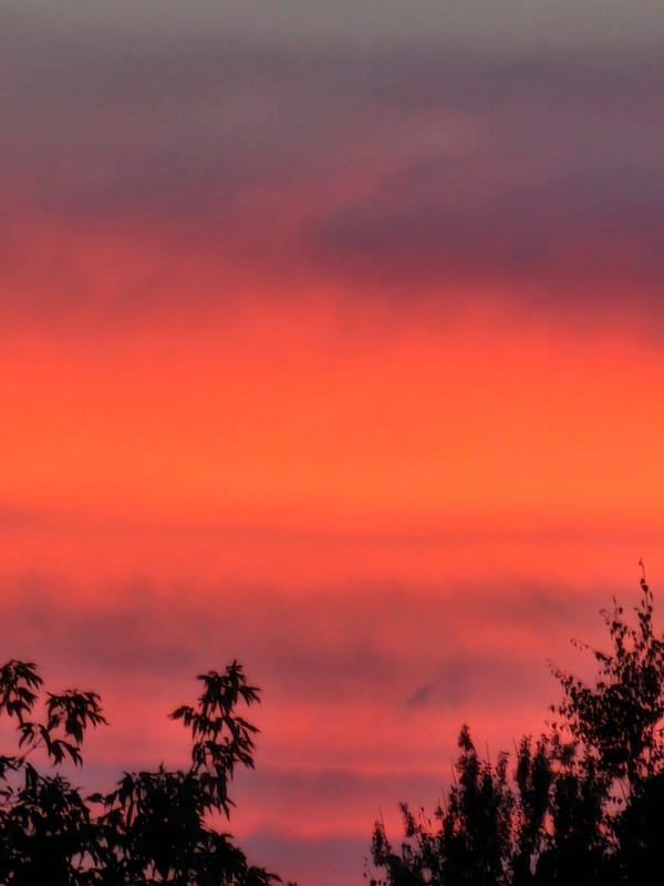 Vivid summer sunset over Khimki's residential skyline