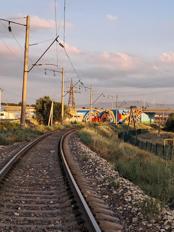 Freight trains, roadside sheep, and shop shelves in Shymkent at dusk