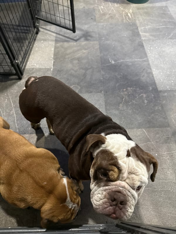Quiet indoor moments captured in Mexican home
