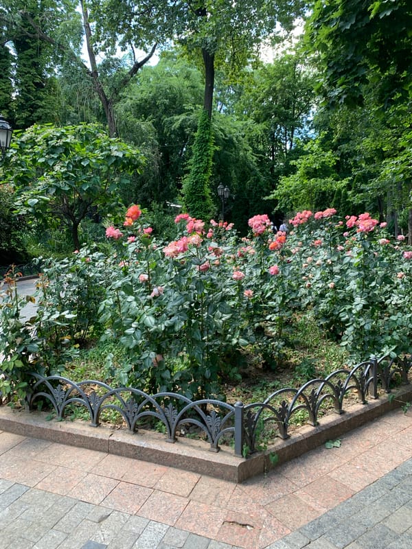 Odesa park in summer: roses, fountains, and Soviet memorials