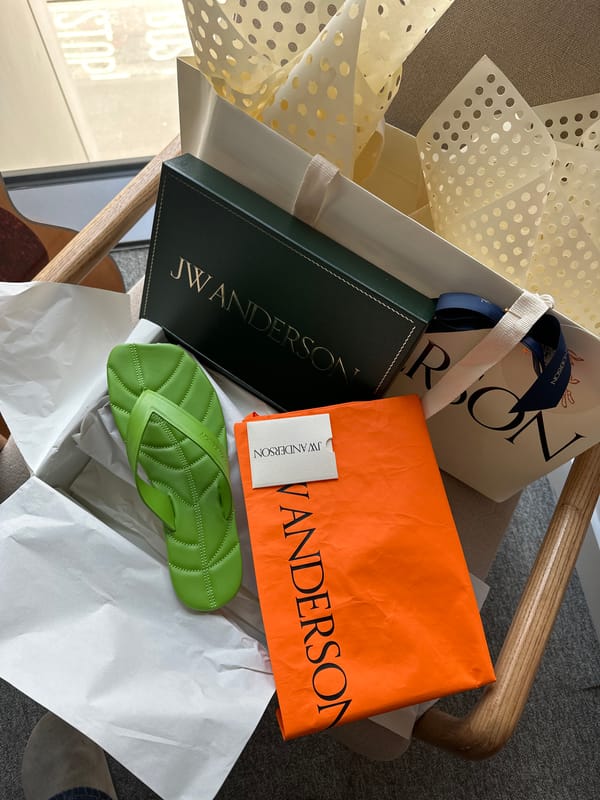 London shopper documents JW Anderson purchases near Buckingham Palace