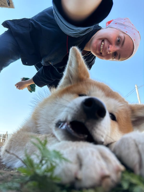 Morning dog walk captured in Chaikovsky, Russia