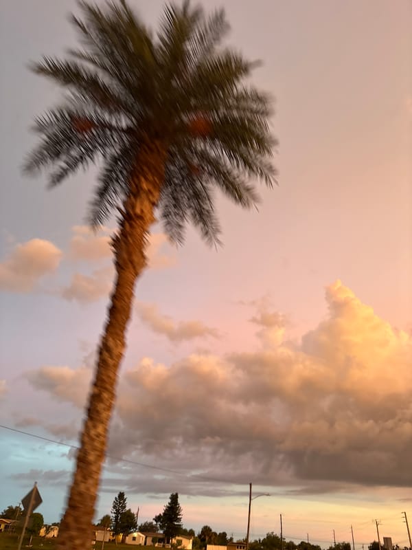 Tropical sunset with rainbow over palm trees and road construction